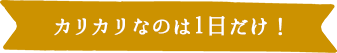 カリカリなのは1日だけ！